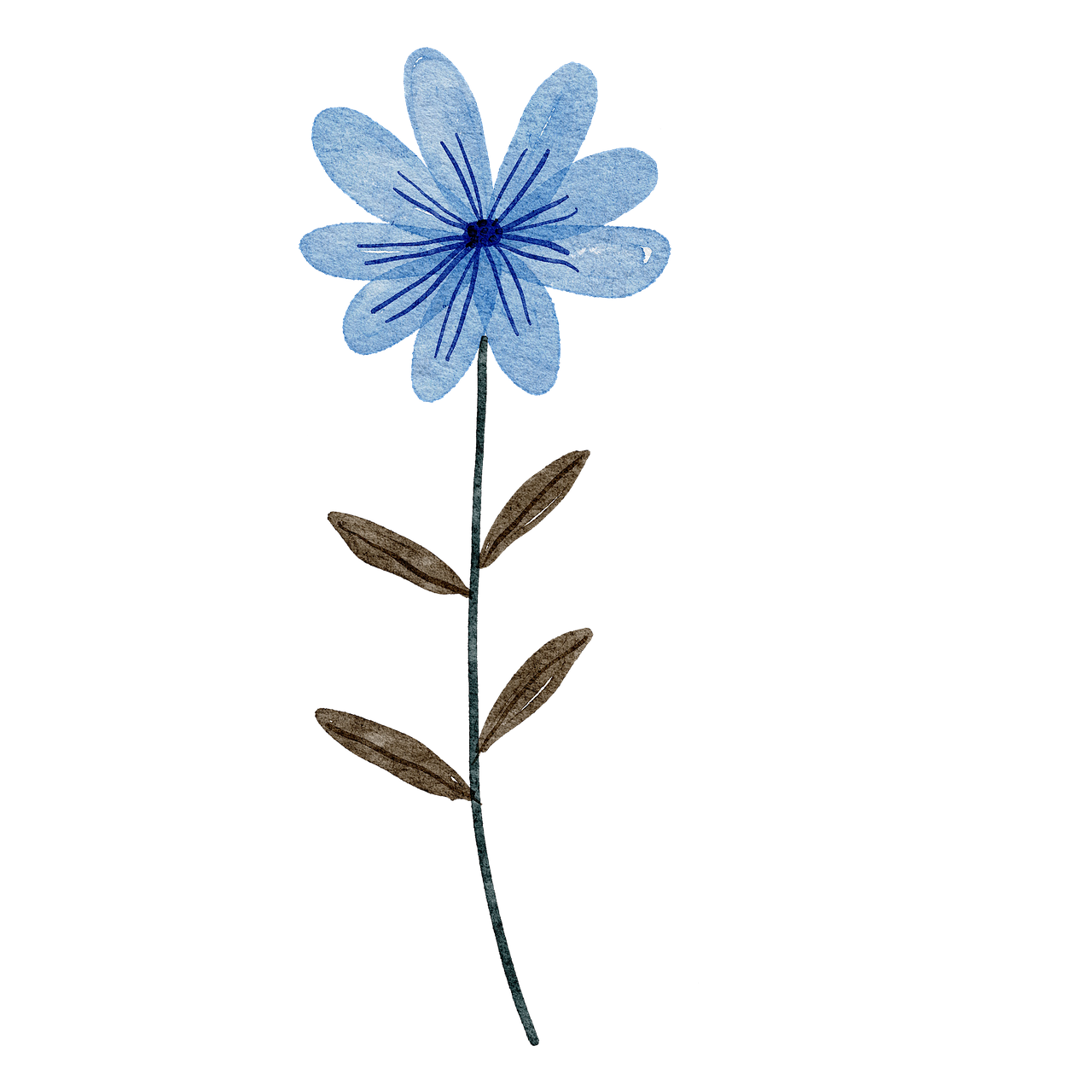 blue flower, flower, watercolor-7746724.jpg